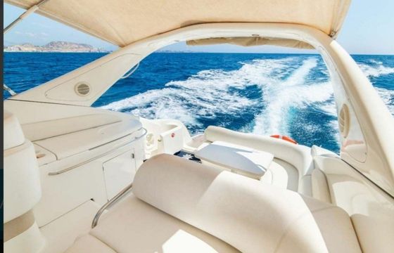 Cranchi 34 Folie