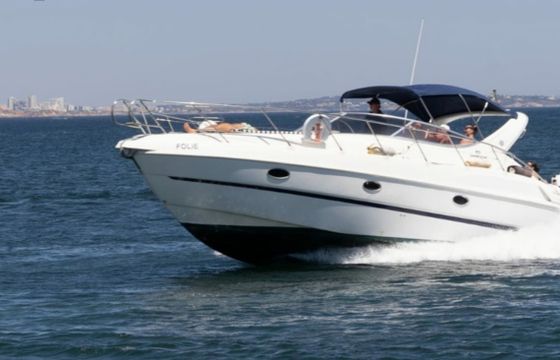 Cranchi 34 Folie