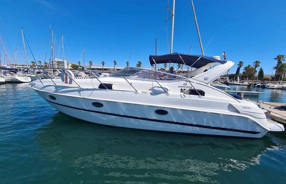 Cranchi 34 Folie