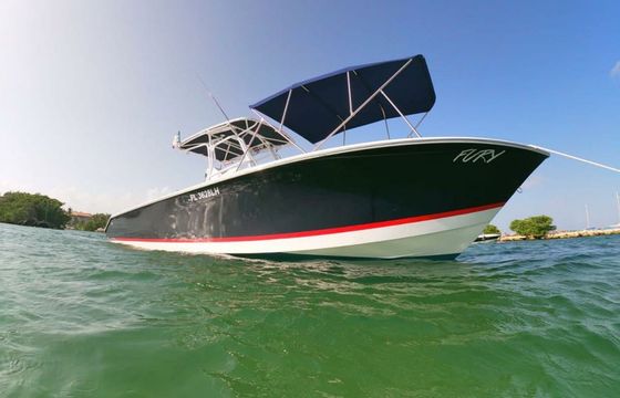 Custom Built 36 Fury
