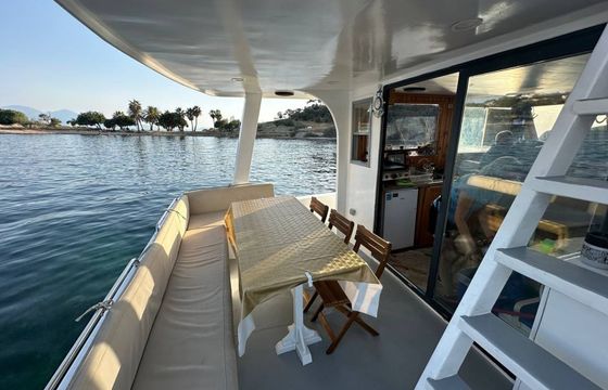 Custom Built 39 Albatross