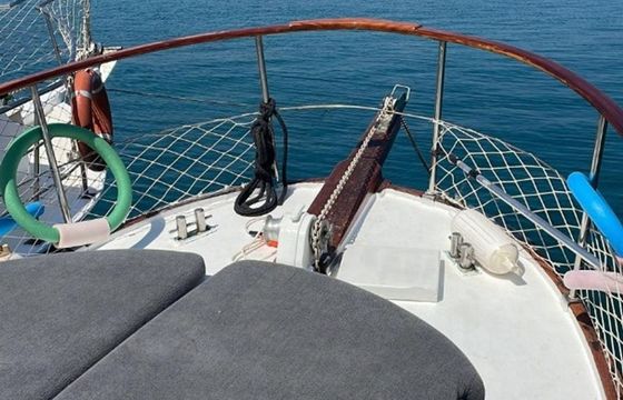 Custom Built 39 Alison Island