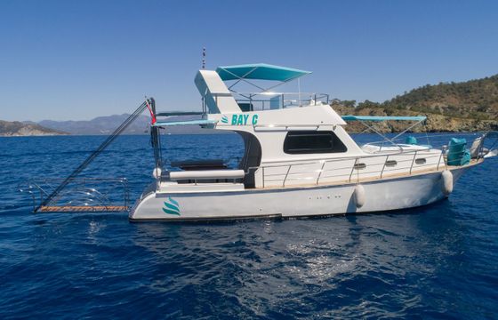 Custom Built 39 Bay C