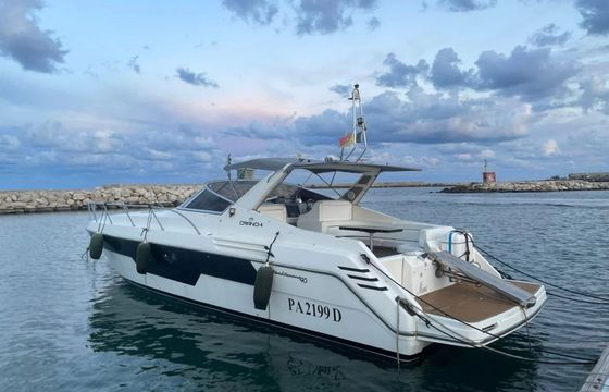 Cranchi Mediterranee 40 Minu