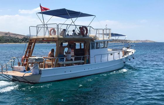 Custom Built 39 Dilara