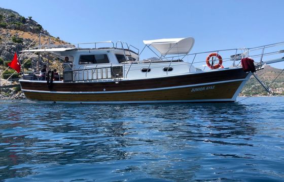 Custom Built 39 Junior Ayaz