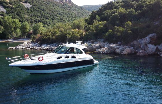 Cruiser Yachts Cantius 45 Themis 4