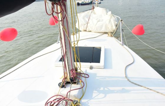 Custom Built 30 Feeling Nauti