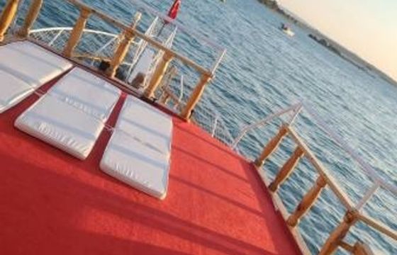 Custom Built 39 Samanyolu 2