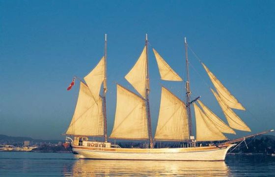 Custom Built 108 Christiania