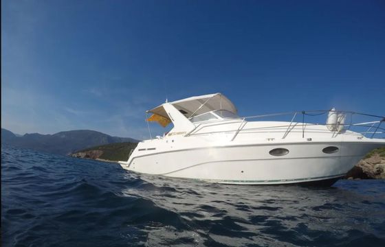 Cruisers Rogue 2670 Zoi