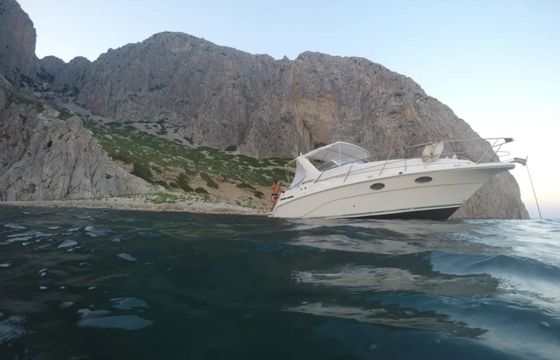 Cruisers Rogue 2670 Zoi