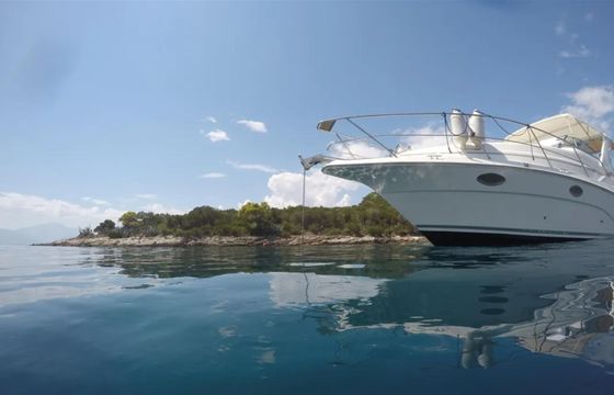 Cruisers Rogue 2670 Zoi