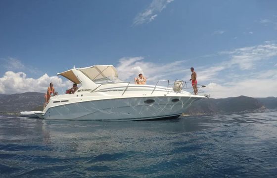 Cruisers Rogue 2670 Zoi