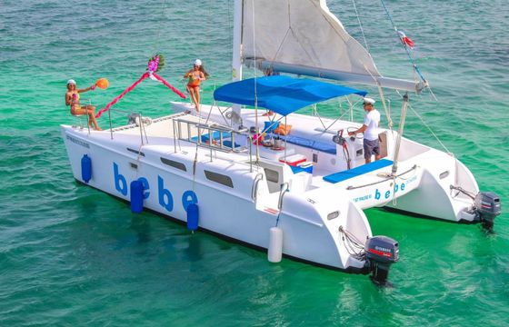 Custom Built 32 Cat Pause 3
