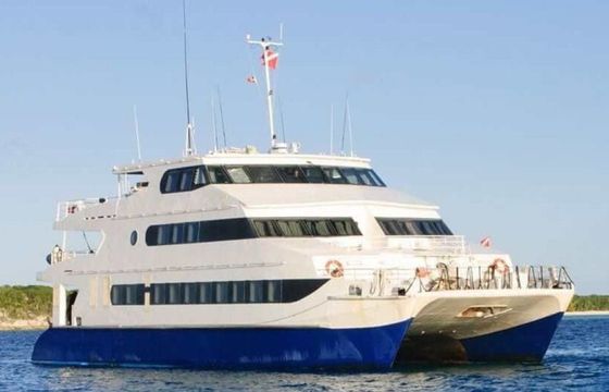 Custom Built 102 Aqua Cat