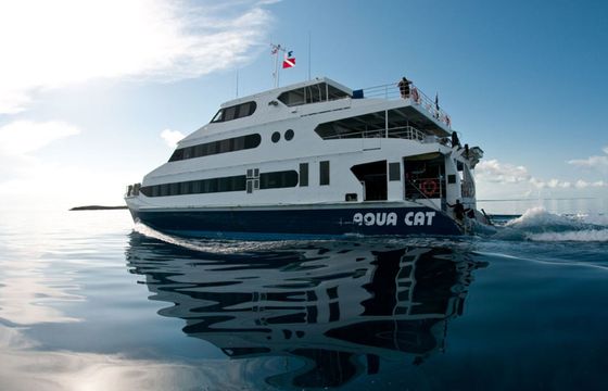 Custom Built 102 Aqua Cat
