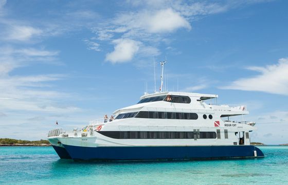 Custom Built 102 Aqua Cat