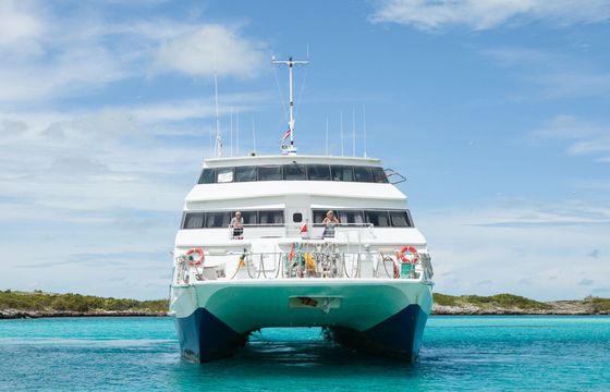 Custom Built 102 Aqua Cat