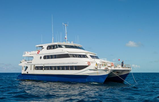 Custom Built 102 Aqua Cat