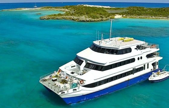 Custom Built 102 Aqua Cat