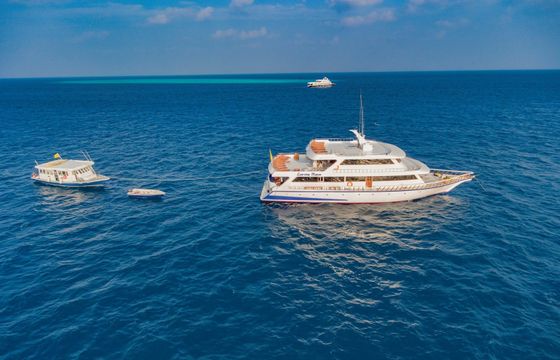 Custom Built 108 Conte Max