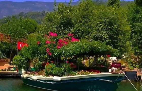 Custom Built 33 Summer Garden