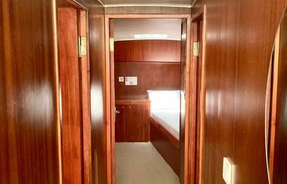 Custom Built 42 Dynasty