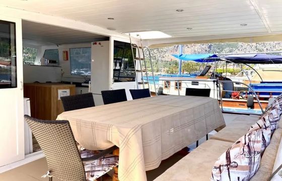 Custom Built 42 Dynasty
