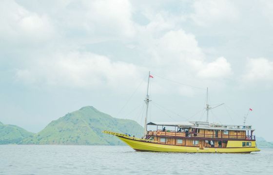 Custom Built 105 Hatira Hela