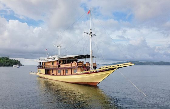 Custom Built 105 Hatira Hela