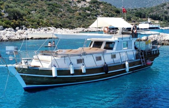 Custom Built 36 Argos