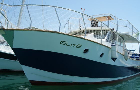 Custom Built 42 Elite
