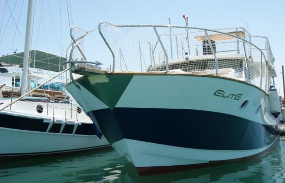Custom Built 42 Elite