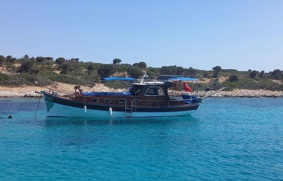 Custom Built 42 Farilya 1