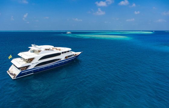 Custom Built 118 Duke of York