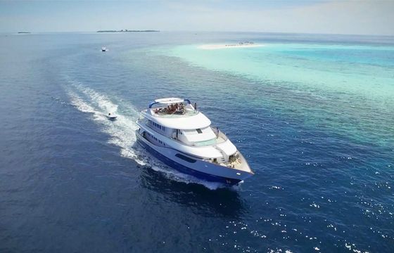 Custom Built 108 Honors Legacy