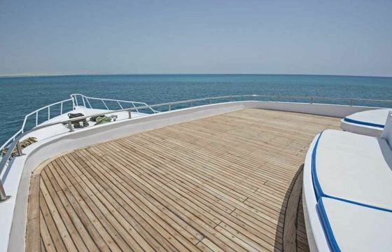 Custom Built 118 Princess Basma