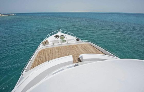Custom Built 118 Princess Basma