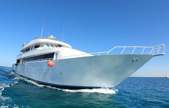 Custom Built 118 Princess Basma