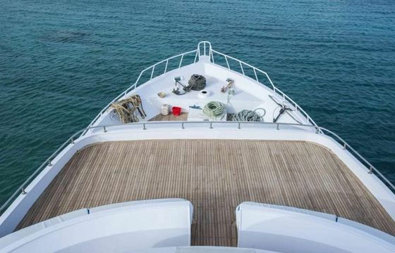 Custom Built 118 Princess Basma