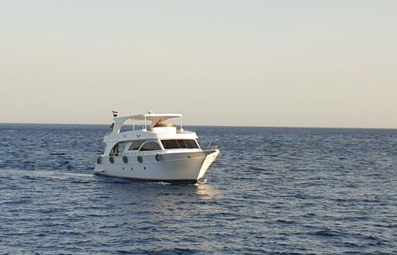 Custom Built 118 Princess Basma