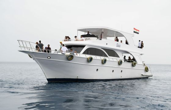 Custom Built 118 Princess Basma