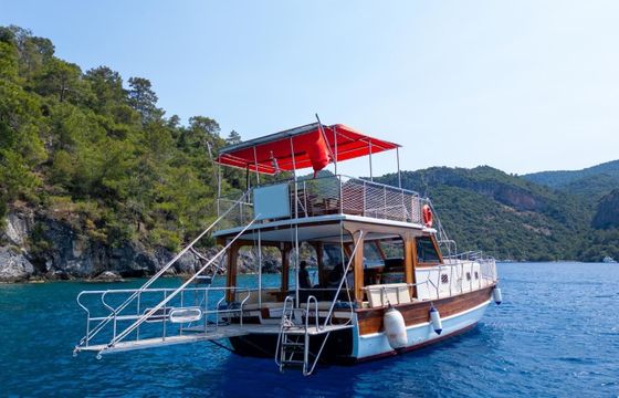 Custom Built 42 Mr Dolphin