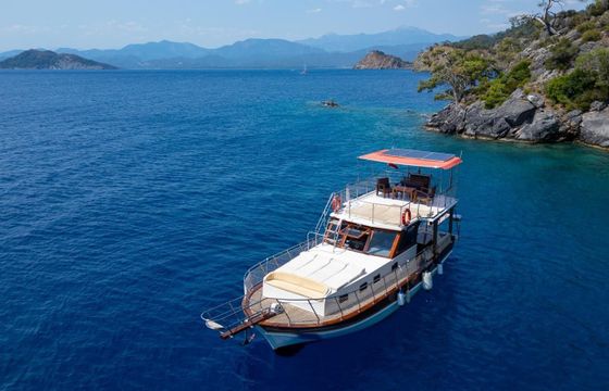 Custom Built 42 Mr Dolphin