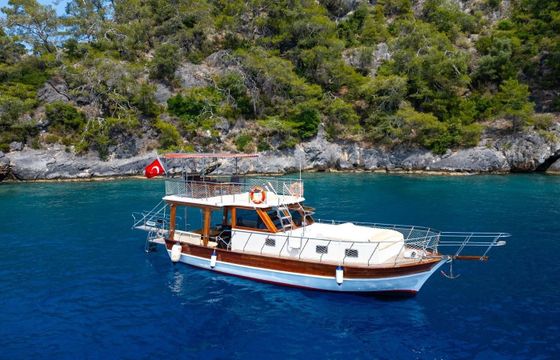 Custom Built 42 Mr Dolphin