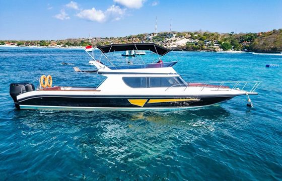 Custom Built 42 Queen Ruizi 12