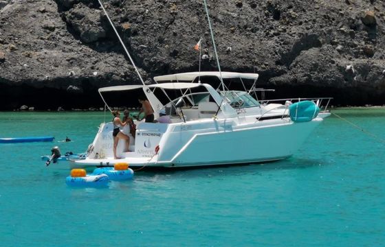 Custom Built 42 Renata Regina