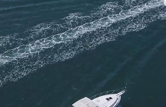 Custom Built 42 Renata Regina