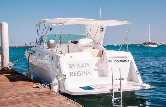 Custom Built 42 Renata Regina